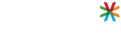 Vast Networks logo reversed